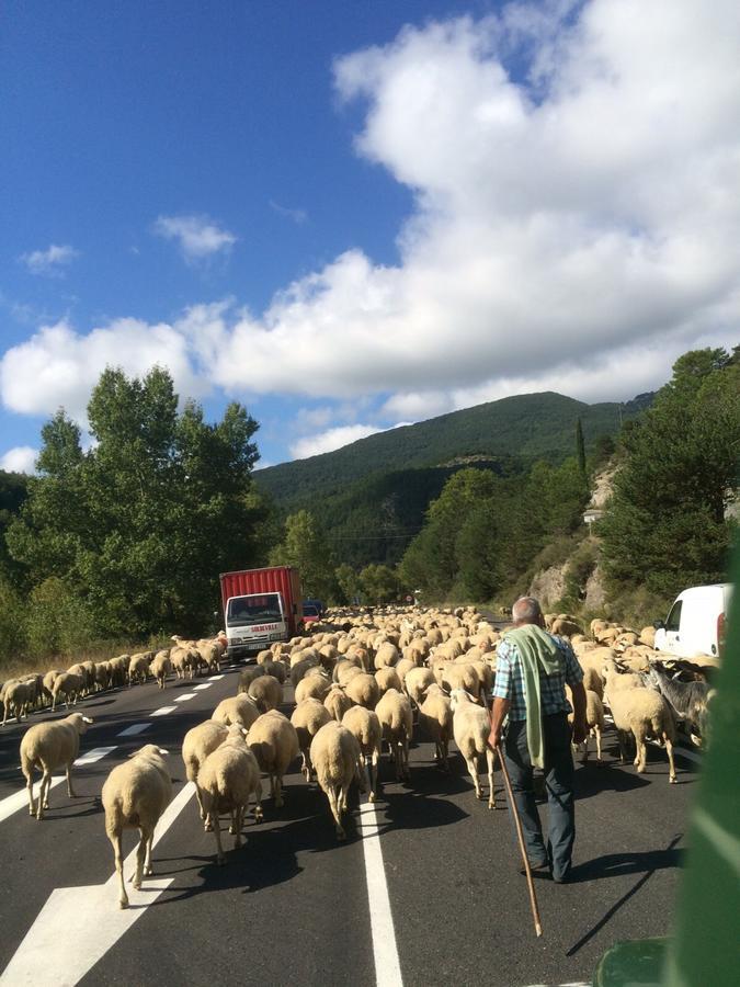 Chambres D'Hotes Ferme De Gayri Vielle-Aure Экстерьер фото